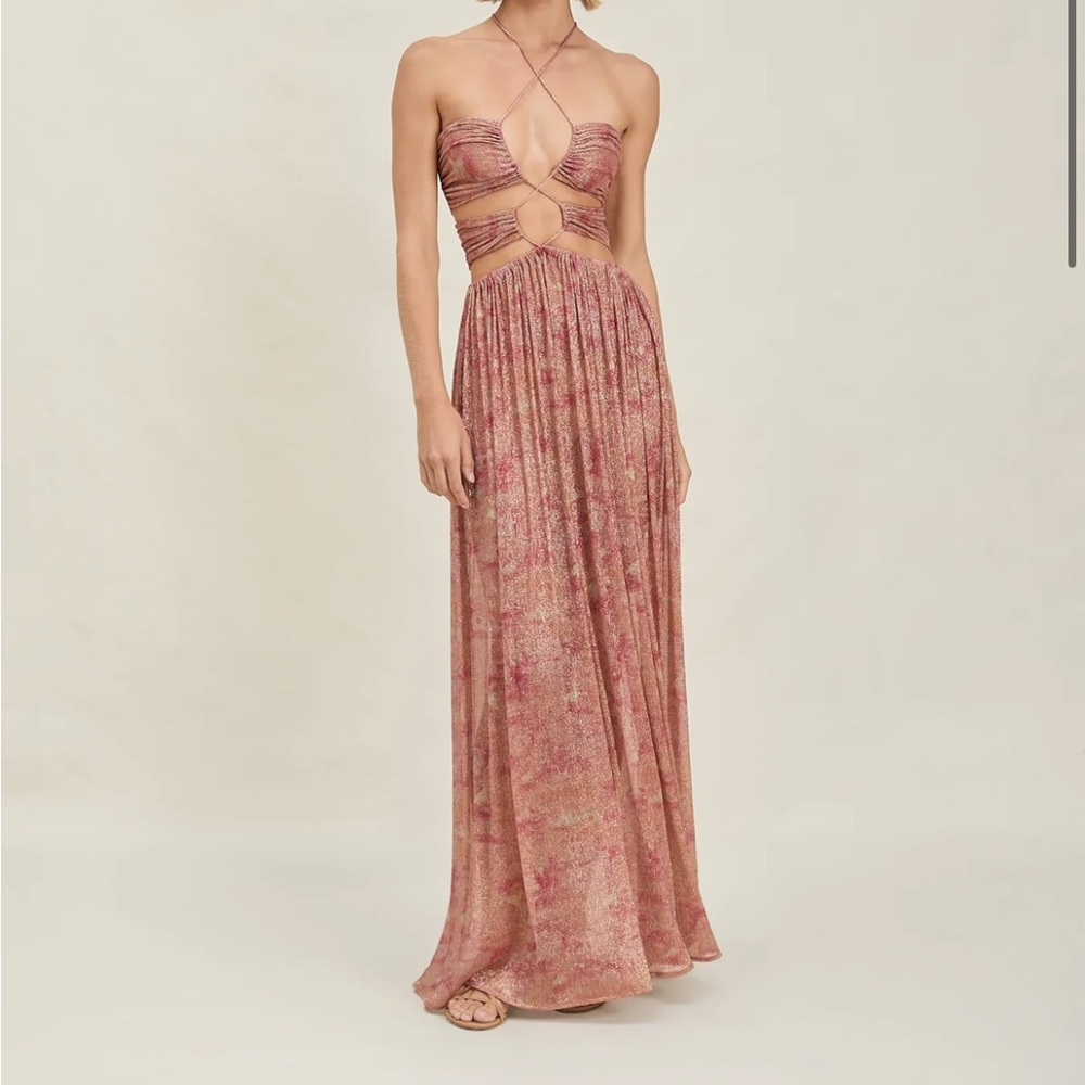 Devon Windsor Pink Maxi Dress